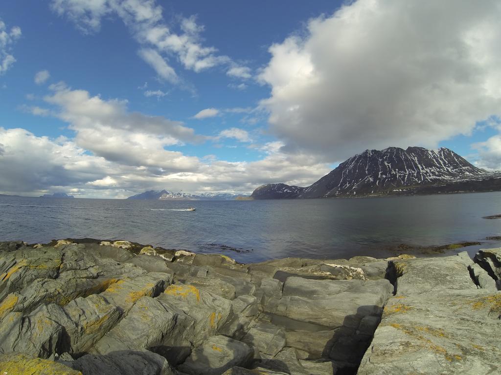 Lyngen Fjordcamp Villa Nord-Lenangen Ngoại thất bức ảnh