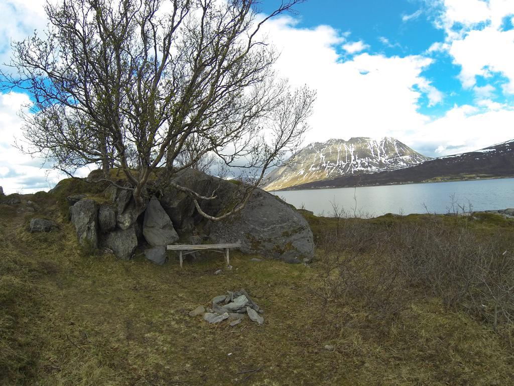 Lyngen Fjordcamp Villa Nord-Lenangen Ngoại thất bức ảnh