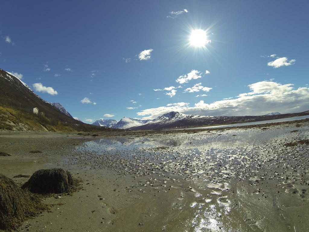 Lyngen Fjordcamp Villa Nord-Lenangen Ngoại thất bức ảnh