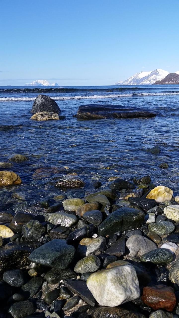 Lyngen Fjordcamp Villa Nord-Lenangen Ngoại thất bức ảnh